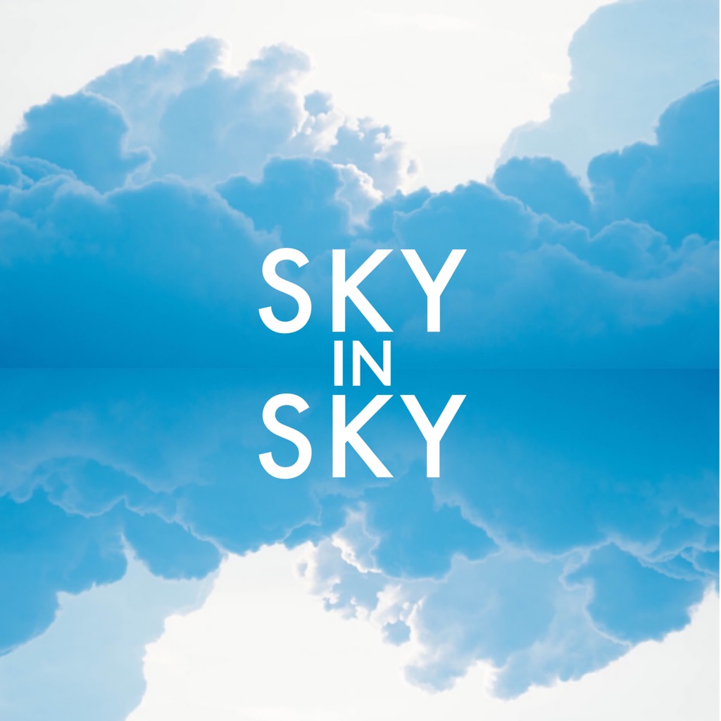 Sky In Sky Live Auction Item